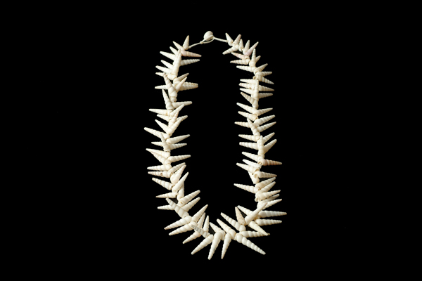 White Curled Shells Long Necklace