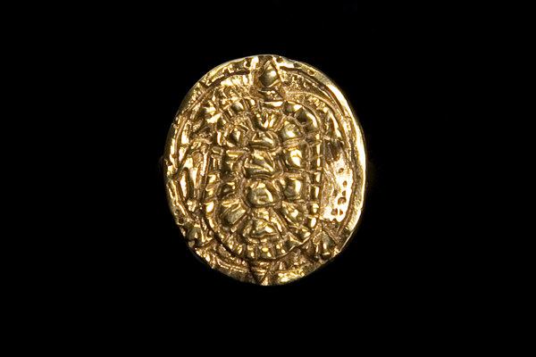 Brass Oval Tortoise Ring