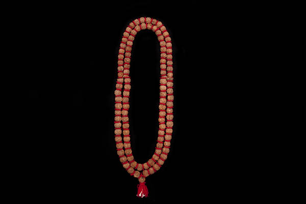 A Very Long Necklace/Mala Of Rudruksha, (Shiva's Eyes'), Sacred Seeds And Discs Of Red Felt