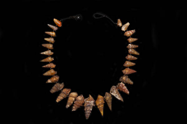 A Necklace Of Graduated Long Curled Brown Fossilised Shells With Black Agate Small Round Spacers