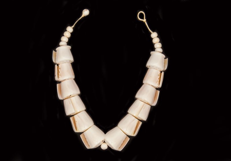 A Necklace Of Twelve Large Sliced Cream Conus Shells, And Nine Cream Shell Button Beads