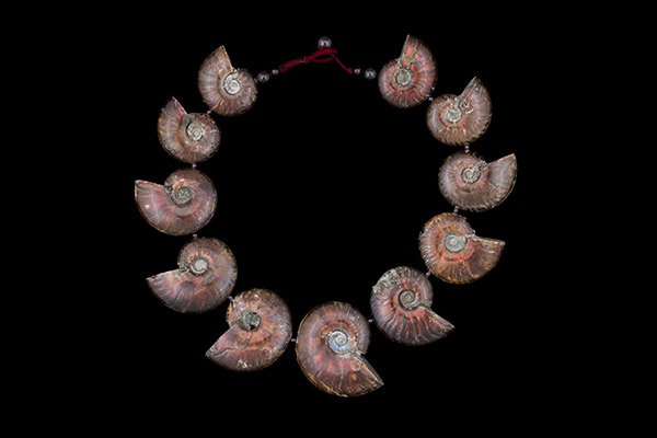A Necklace Of Eleven Madagascar Red Iridescent Ammonite Fossils With Garnet Small Round Spacers