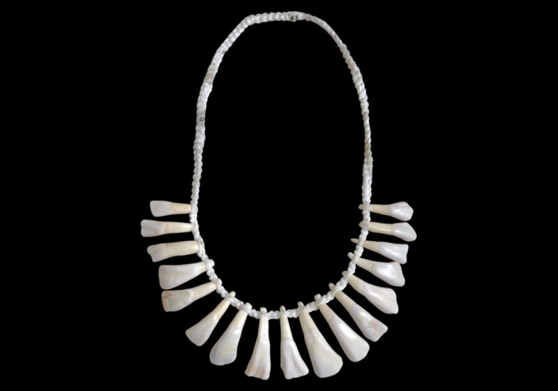 A Naga White Braided Cotton Band Necklace With Seventeen Cream Coloured Camel's Teeth Curved Pendants.