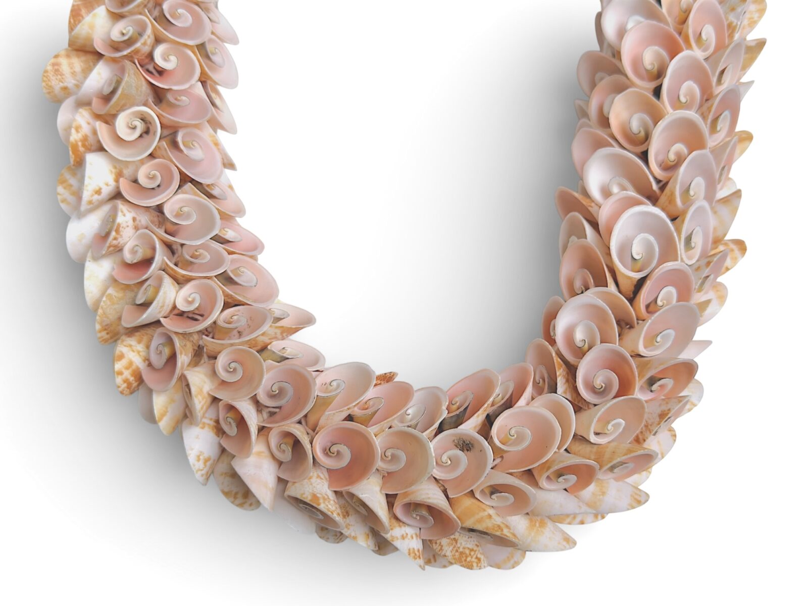 A New Guinea Long Necklace Of White Braided Rope, With Small Pink Curled Shells, And Small Cream Cowrie Shells - Image 3