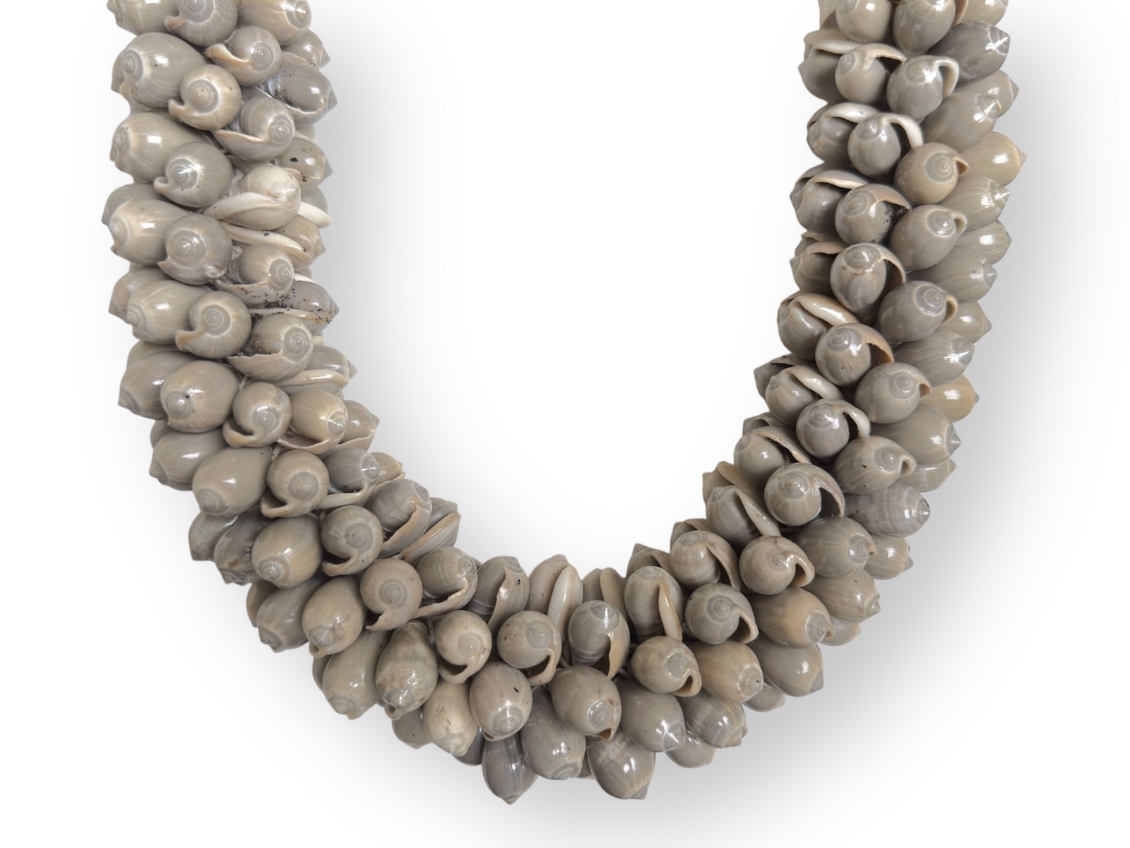 A New Guinea Long Necklace Of White Braided Rope, With Small Curled Grey Shells - Image 3